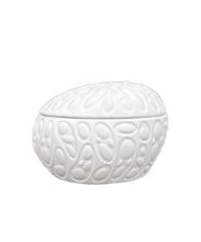 Rex jajček l mat 500ml 17007